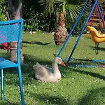 Bed and Breakfast Villa Molinari B&B E Baby Park Campagna