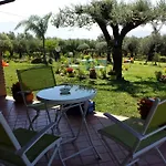 Molinari E Baby Park 3*