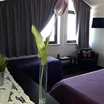Molinari E Baby Park Bed & Breakfast Campagna