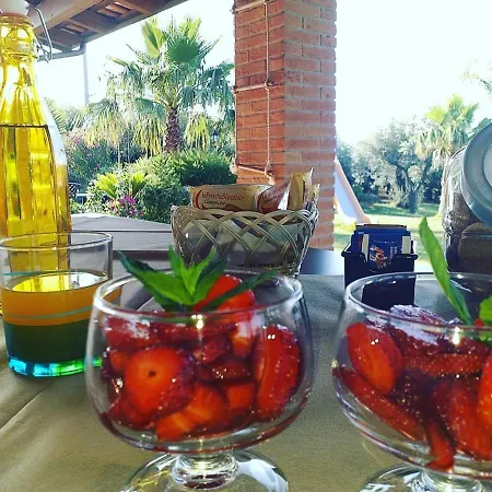 Molinari E Baby Park Bed & Breakfast Campagna
