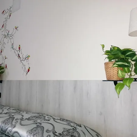 Molinari Restaurant E Baby Park