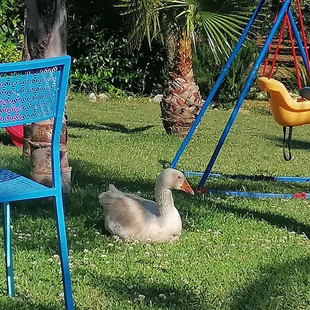 Bed & Breakfast Molinari Restaurant E Baby Park Campagna