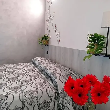Bed & Breakfast Molinari E Baby Park 3*