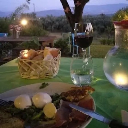 Molinari Restaurant E Baby Park